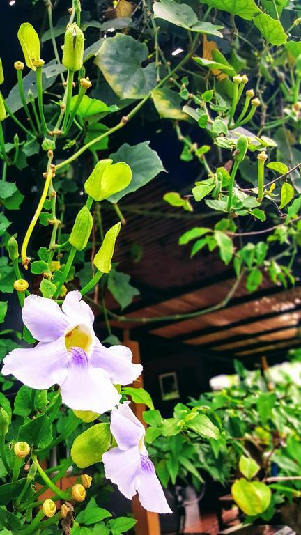 छुट्टी का घर Charpoot Khao Lak